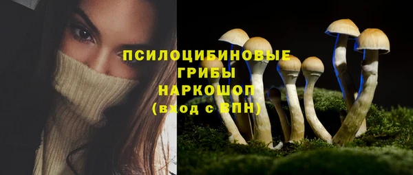 гидропоника Армянск