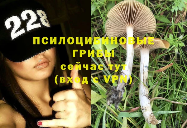 эйфоретик Арсеньев