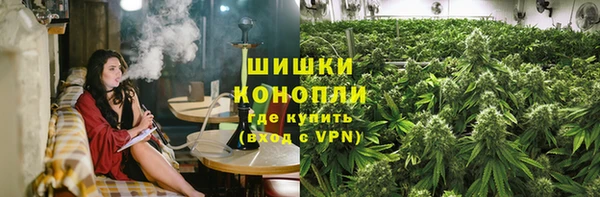 эйфоретик Арсеньев