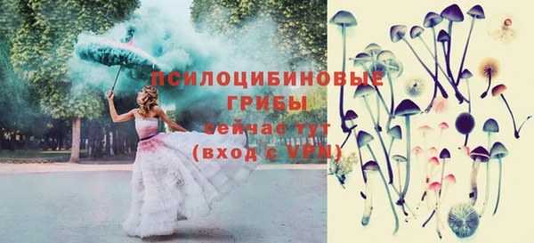гидропоника Армянск